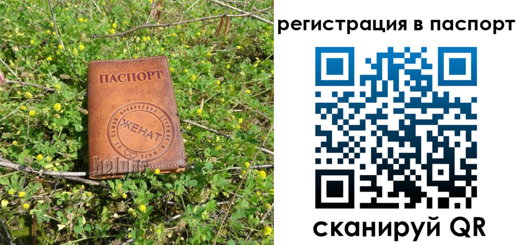 прописка законно в Южно-Сухокумске
